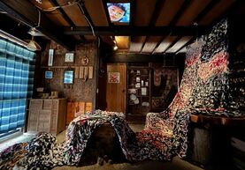 Extend Over-dirt room 蔓延攀爬-土間